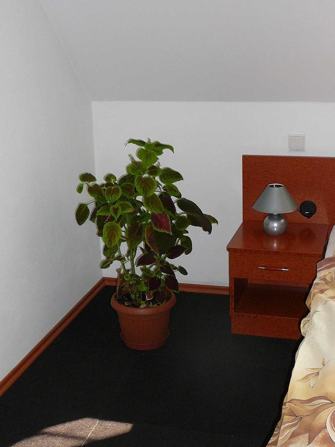 Penzion Praktik Krumlov Přísečná Camera foto
